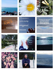 Siga no Instagram: Vida Re_conectada