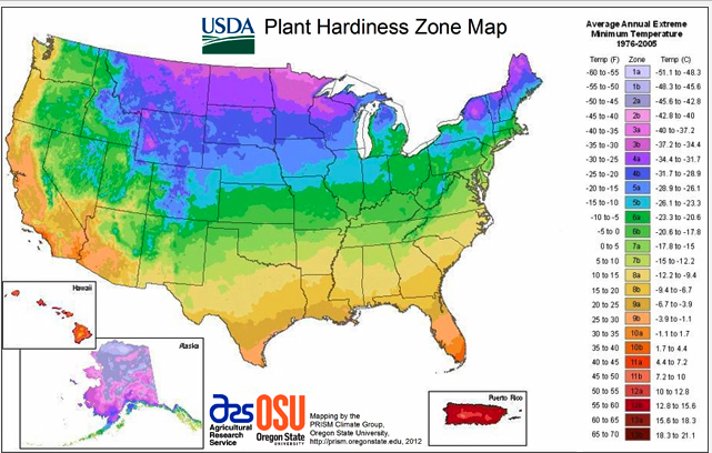 Welcome To Atlanta Hereby Known To Hortheads As Zone 8a 