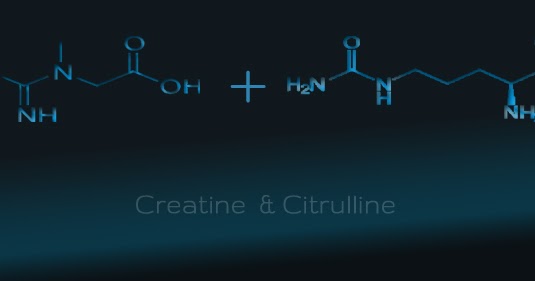Is It Safe to Combine Citrulline and Creatine?