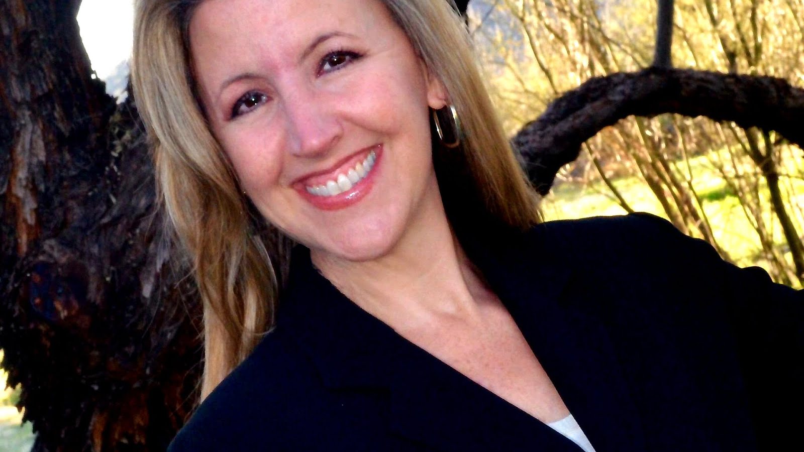 phoenix financial services lauren accountant phoenix financial services lauren accountant