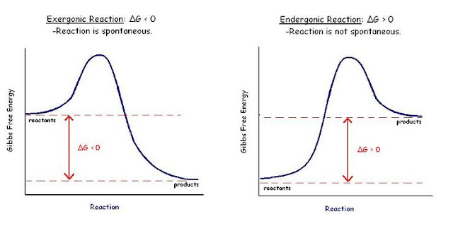 Chemical Engineering: Gibbs energy diagram
