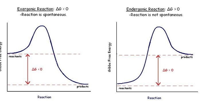 Chemical Engineering: Gibbs energy diagram