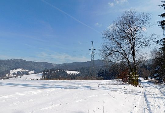 Szlak łagodnie opada na przełęcz. Szlak łagodnie opada na przełęcz.
