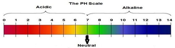 pH scale - पीएच (pH) स्केल की संकल्पना और महत्व