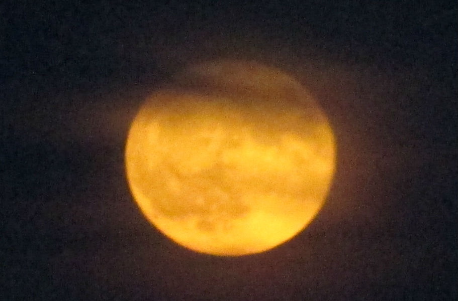 Tonight's Micromoon--we watched it rise over the Battery tonight, it was red and orange