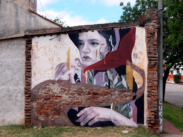 Constantly busy creating new works around the world, Fran Bosoletti just finished painting this beautiful new piece somewhere on the streets of Armstrong in Argentina.