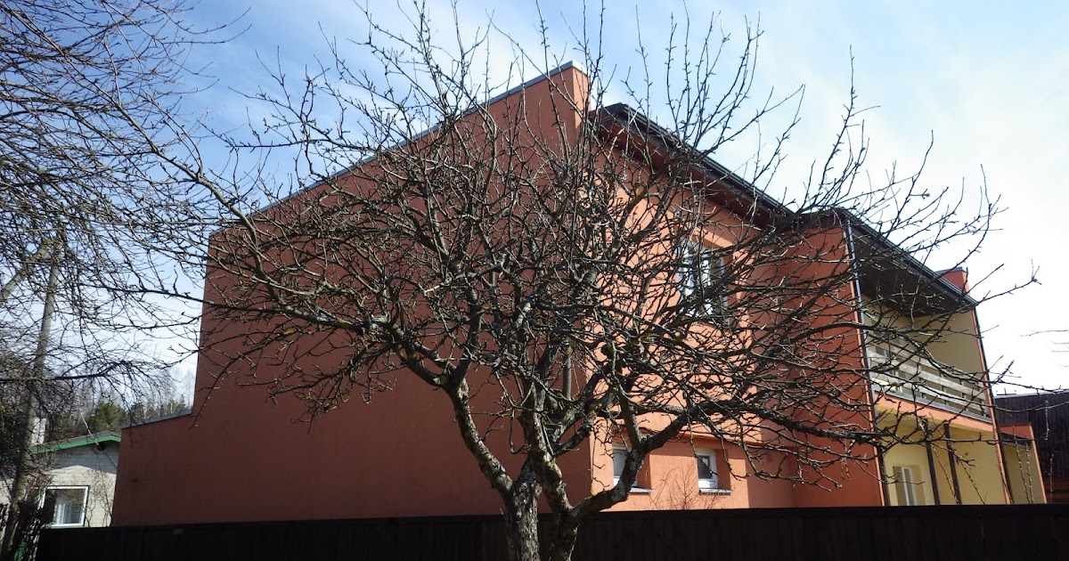 Pakun:1. Noorpuude võrade kujundamist2. Eakate puude järk-järgulist noorendamist3. Rikutud puude võrade taastamist/ehitamist4. Viljapuude lõikust (kevadist ja s