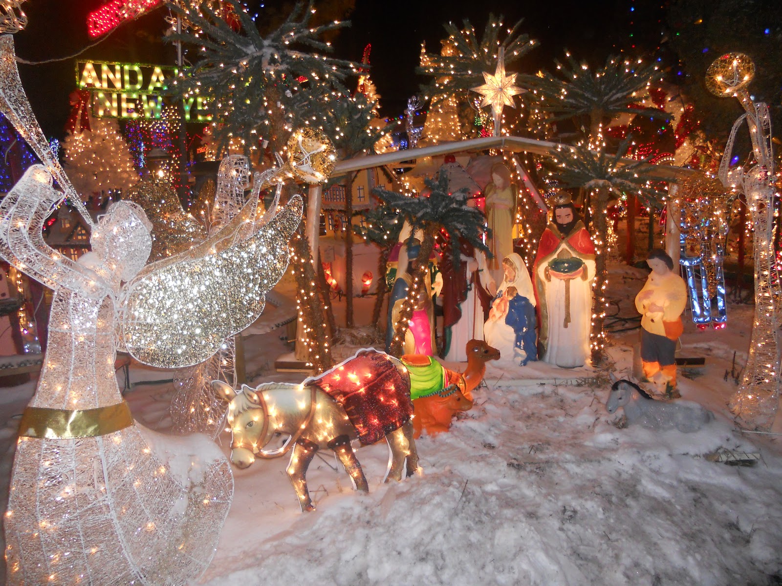 Spectacular Christmas Lights Chic Delights