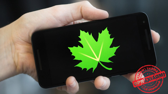 Download Aplikasi Greenify Pro Apk Download Aplikasi Greenify Pro Apk Full Donation v4.0.1 Dan Buat Androidmu Jadi Ngebut