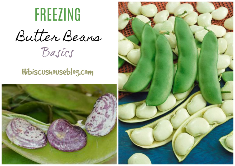 Hibiscus House Freezing Butter Beans & Cooking Them