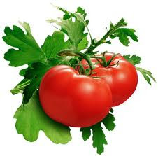 مصادر الأغذية - الطماطم