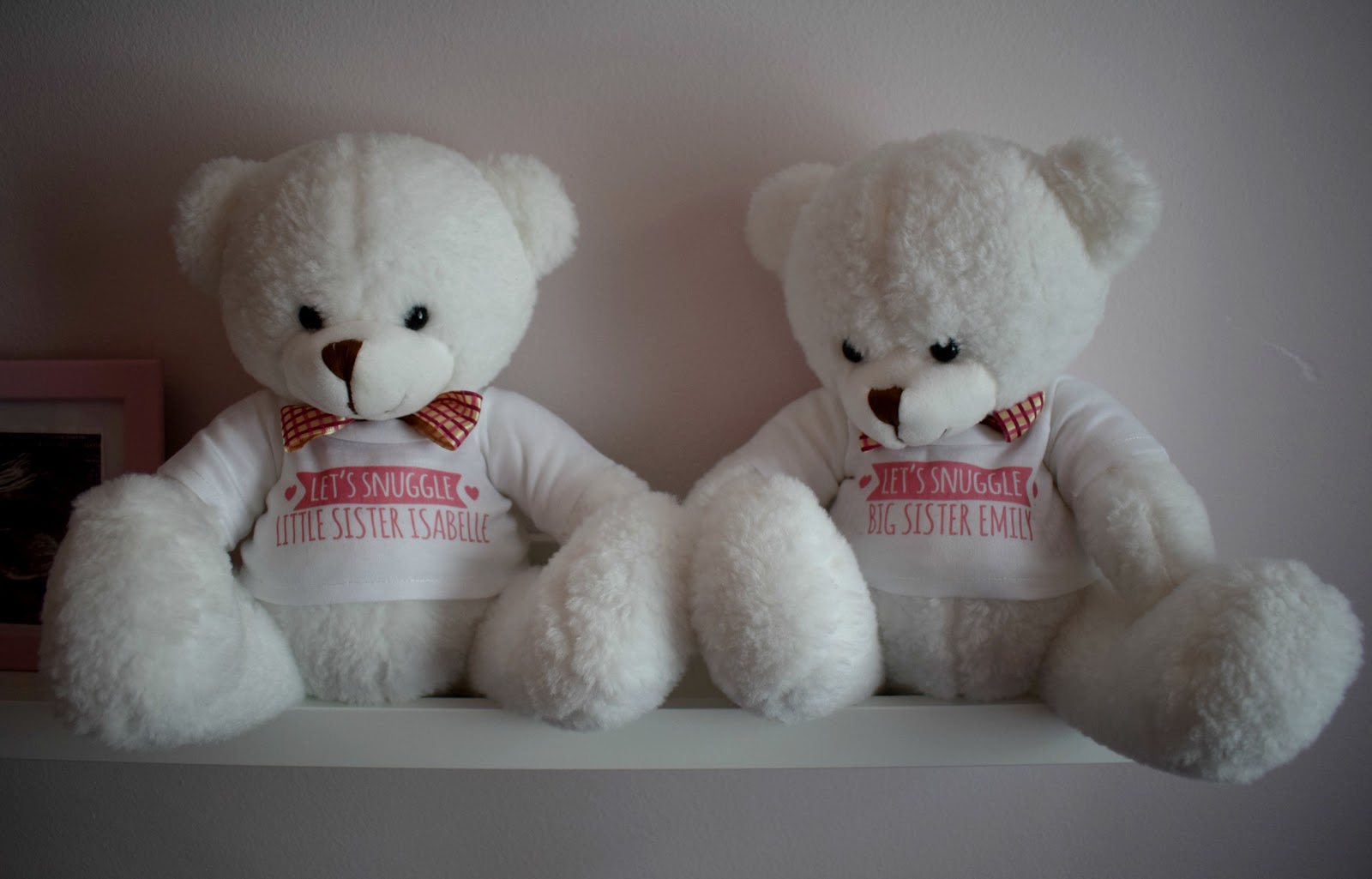 sibling teddy bears