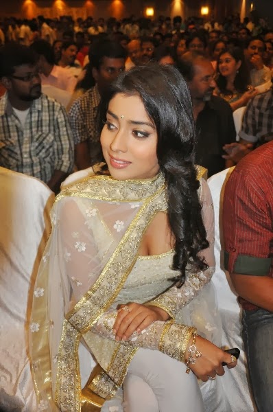 shriya-latesh-hot-clevage-stills-2014-1.