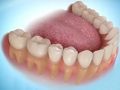 Tìm hiểu chức năng của tủy răng