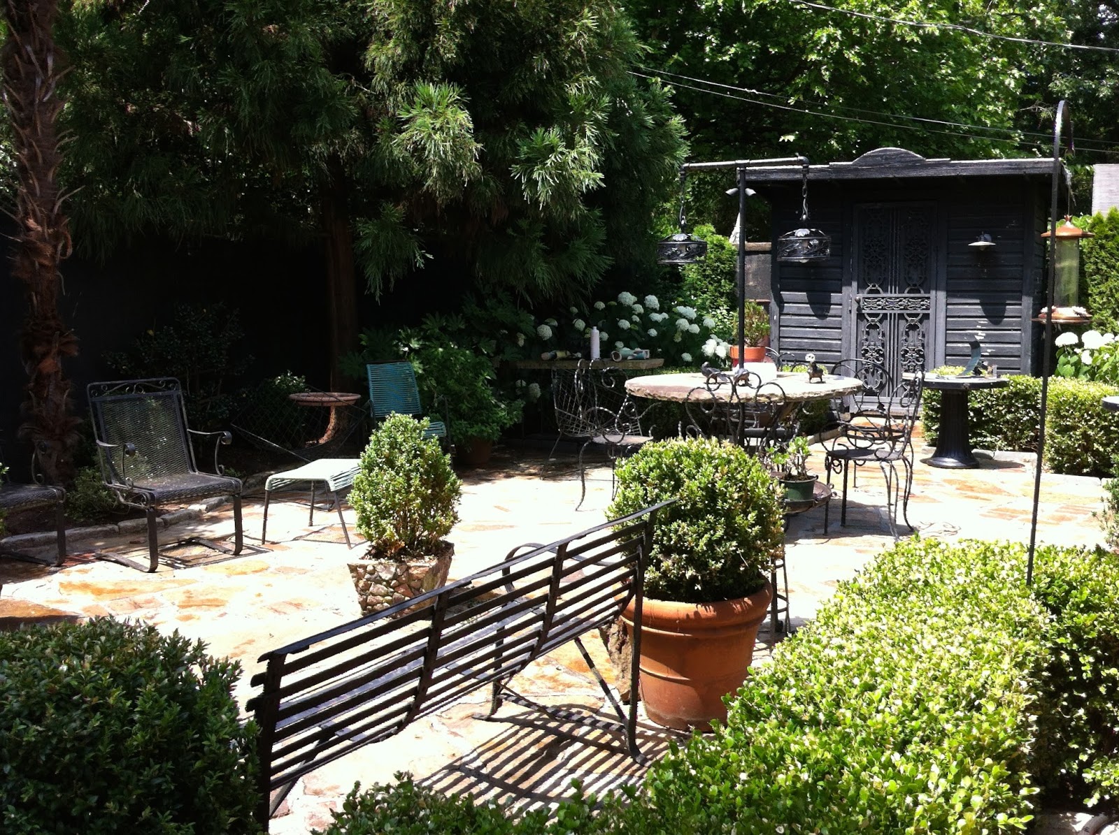 Modern Country Style Hydrangeas Topiary And Boxwood In The