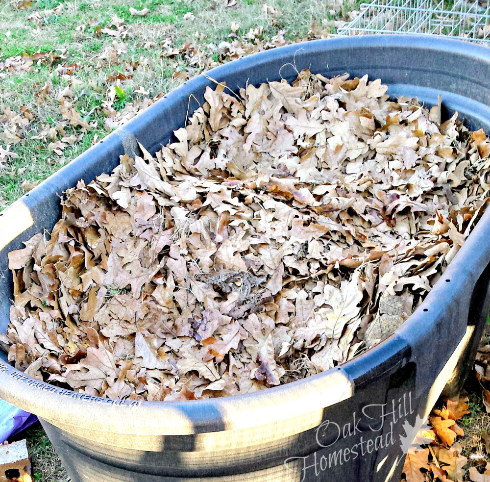 How to Combine Lasagna Gardening, Raised Beds and Square Foot Gardens Oak Hill Homestead