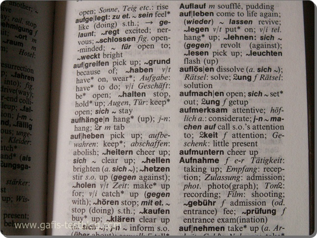 gafi's-Testblog •~°: Praktischer Woerterbuchuebersetzer - Deutsch Englisch