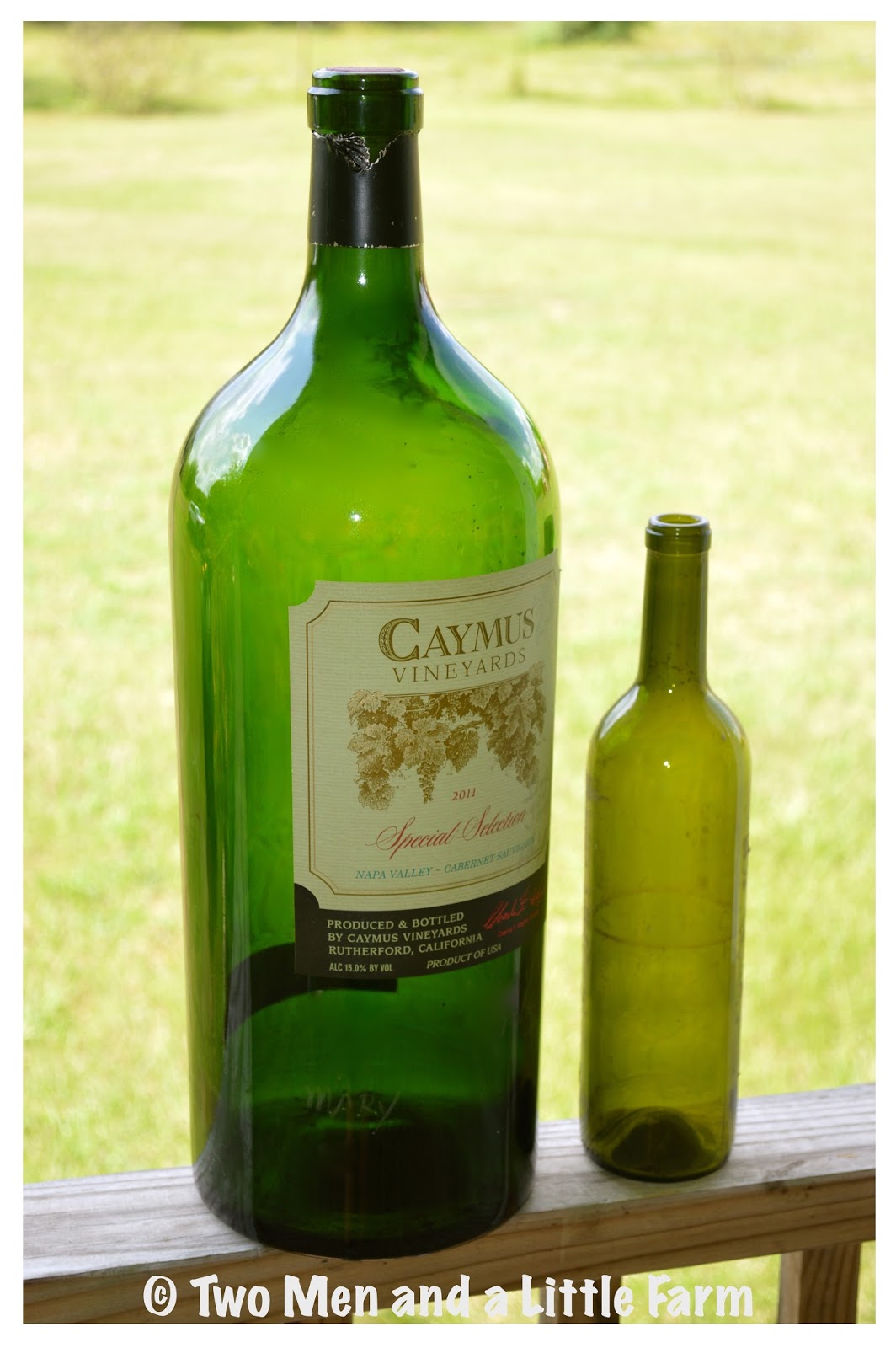 Two Men and a Little Farm MAGNUM WINE BOTTLE TRASH TO TREASURE FIND