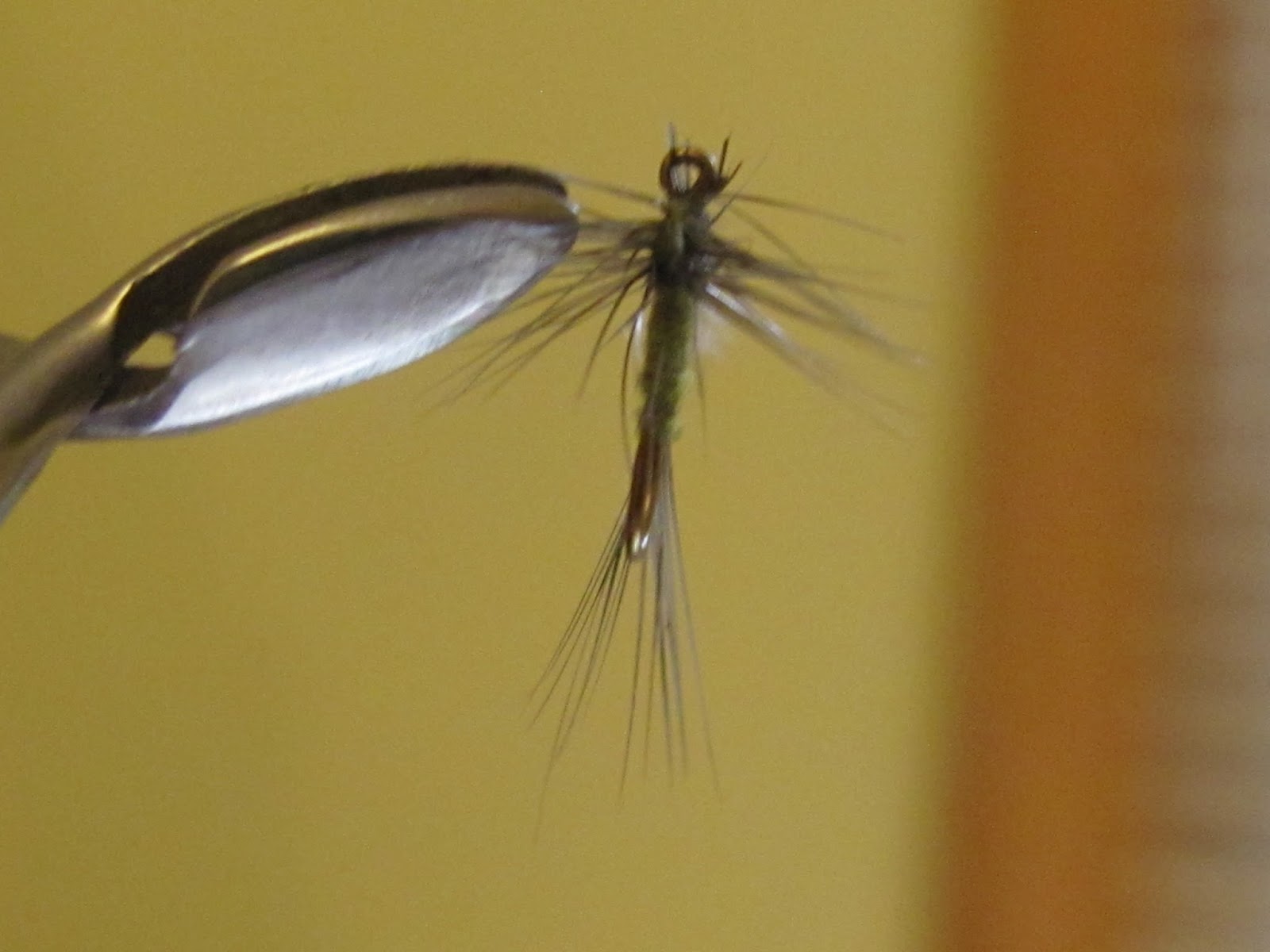 to the Millers River Fly Fishing Forum