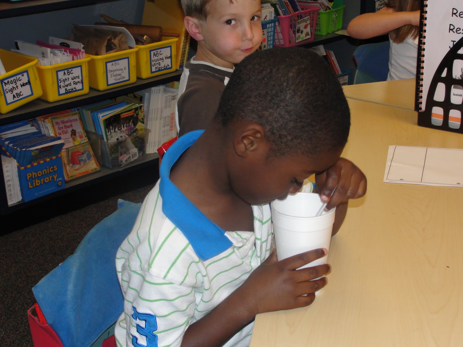 We Are Wild About Learning What Is Functional Writing 
