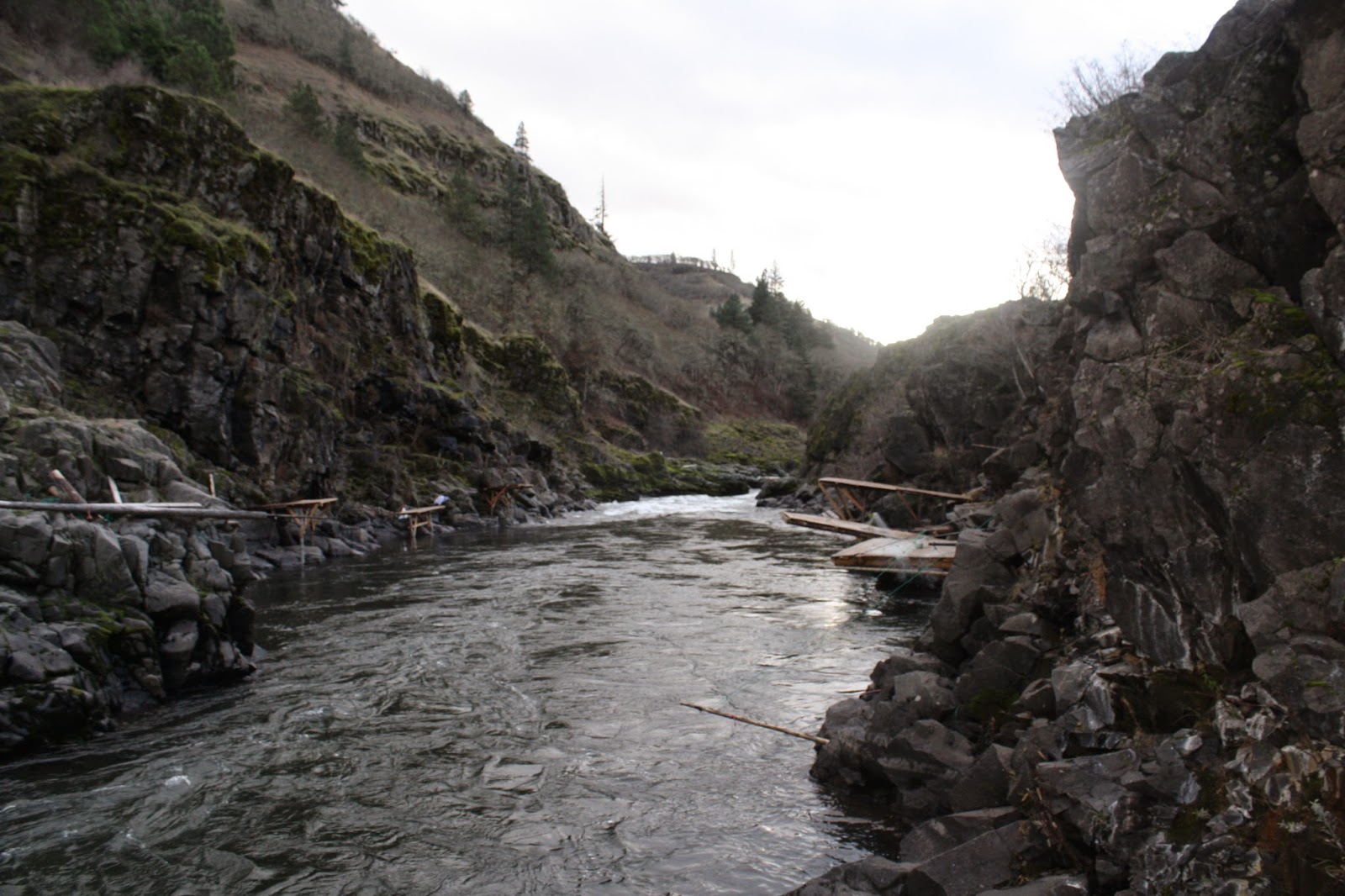 .Hike Mondays. Klickitat River Trail, South Cascades, Columbia