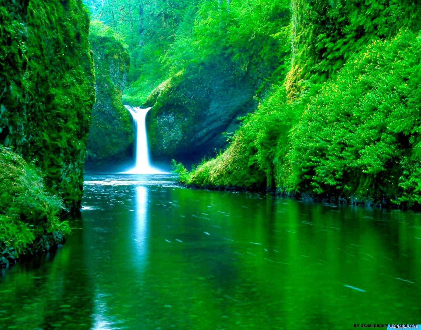 Free Nature Desktop
