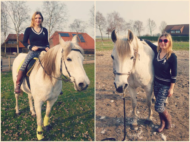 Horse Riding in Germany