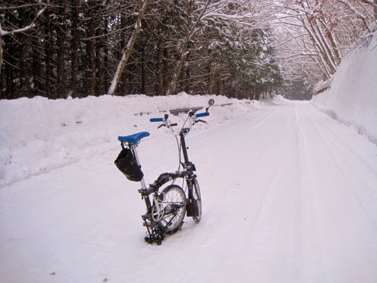 brompton winter tyres