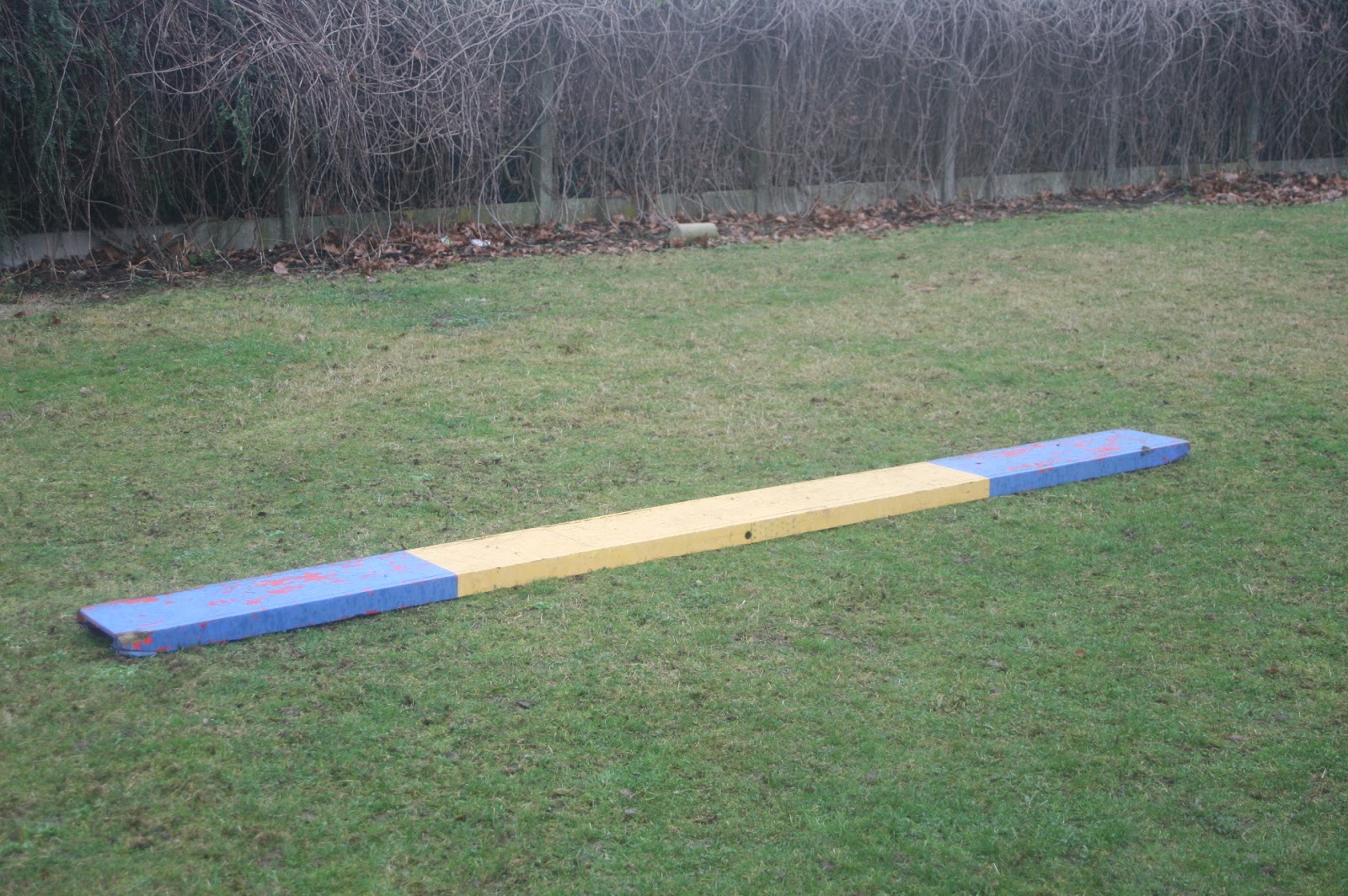 Agility Sport Zone de contact en running