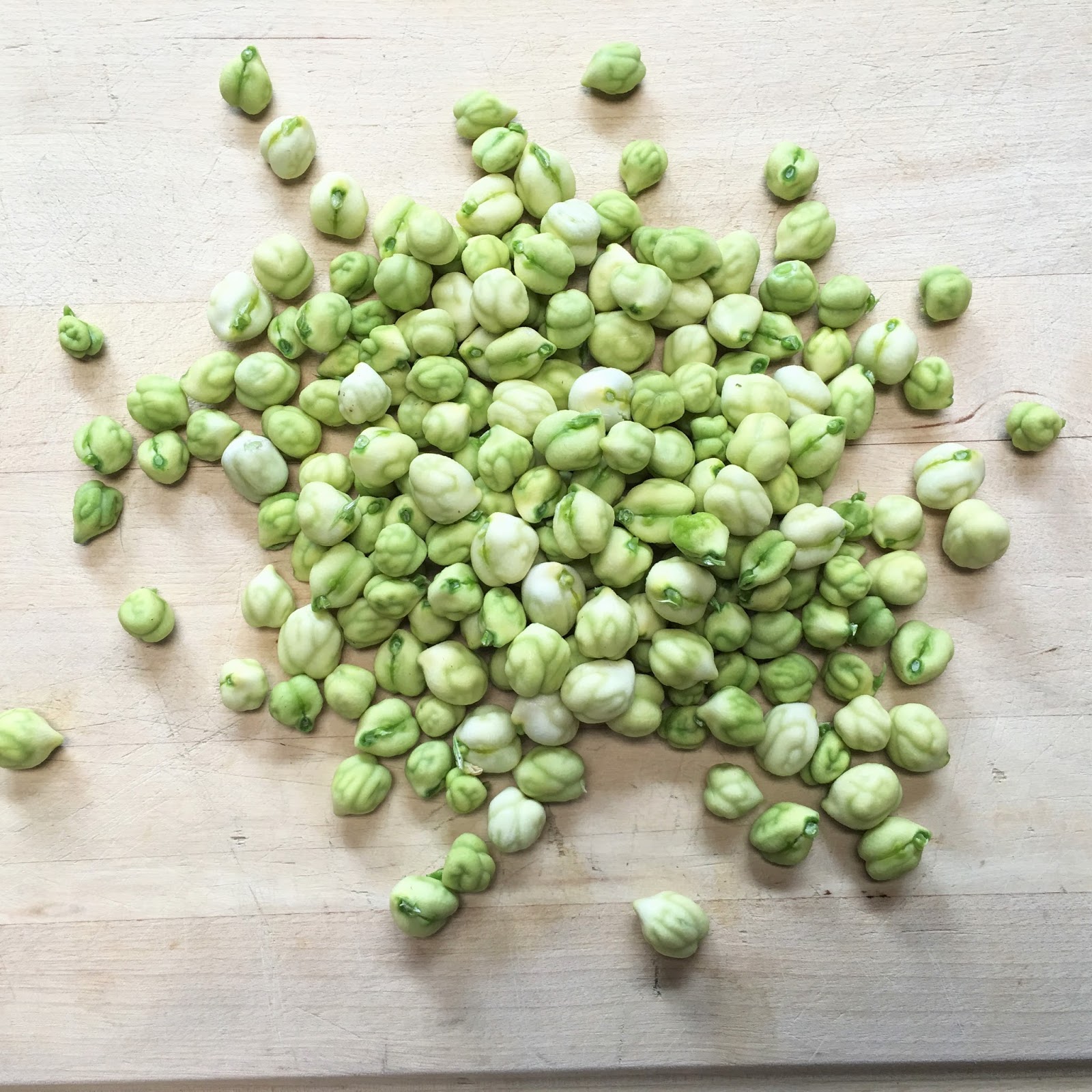 Fresh Garbanzo Bean Hummus mysavoryspoon