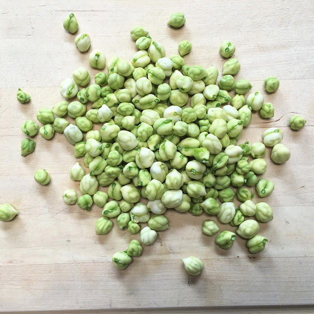 Fresh Garbanzo Bean Hummus mysavoryspoon