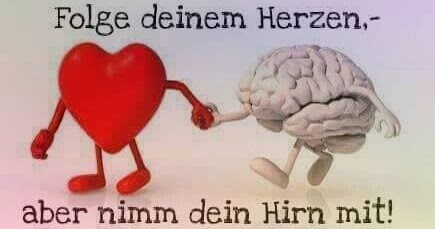 Herz und Hirn