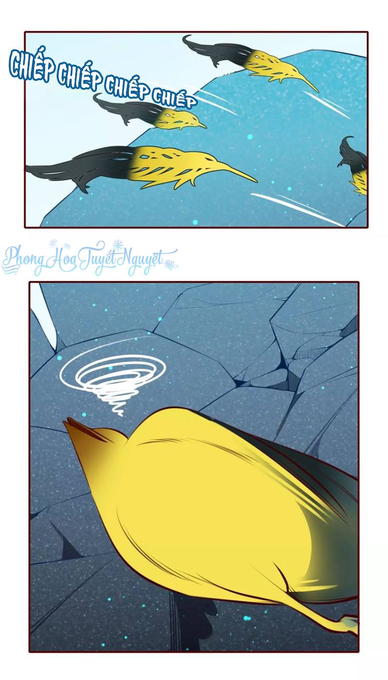 Cẩm Lý Quy - Chương 10 - Trang 8