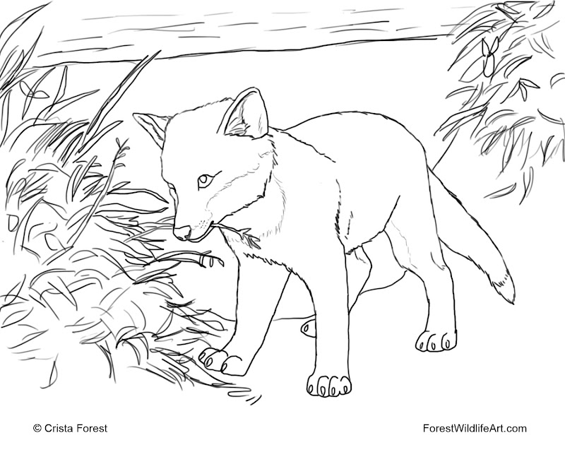 Amazing Inspiration! 24+ Fox Pup Coloring Page