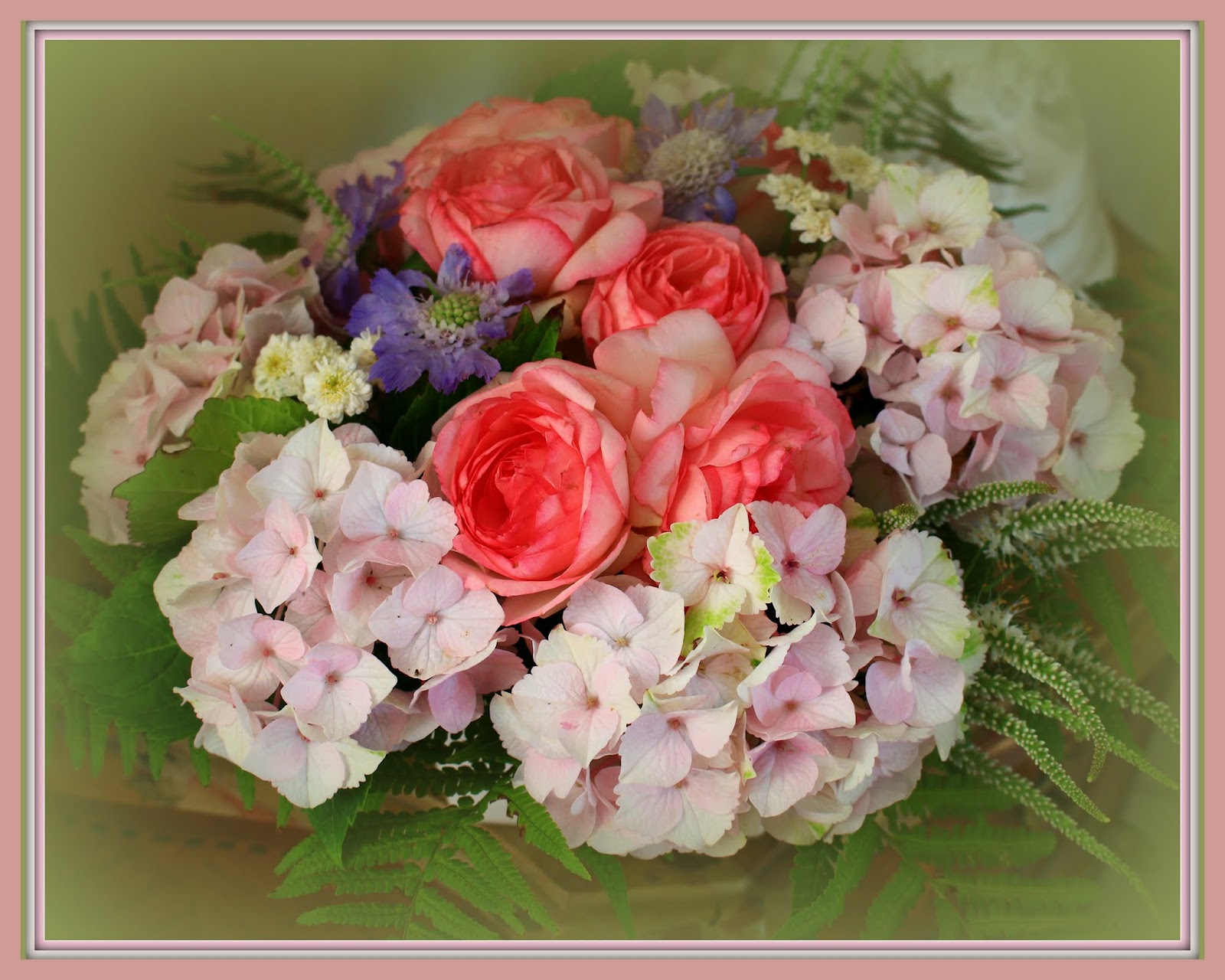 White Hydrangea Quicksand And Eskimo Roses Rose Flowers Hydrangea