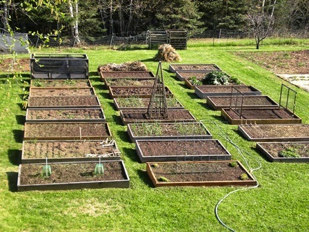 A Home Grown Journal: Summer Has Begun and a Garden Update