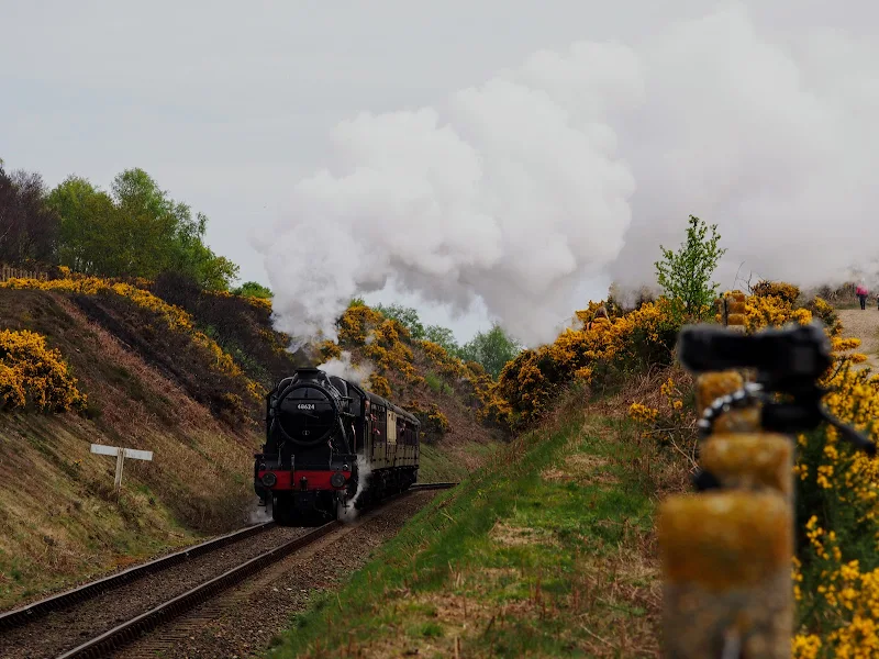 The vantage point at Kelling Heath crossing where trains haul their loads up the Kelling Bank