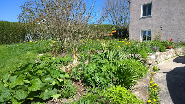Achimsgarten - der Selbstversorger- und Garten-Blog