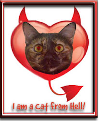 I am Tutu and I am a Cat From Hell!