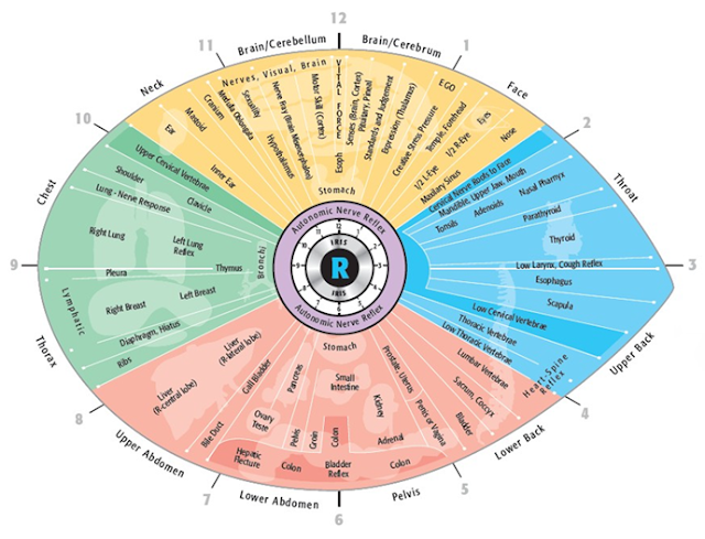 iridology definition