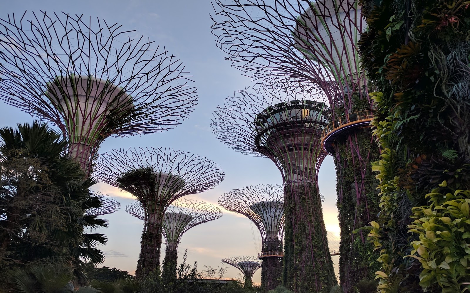 Viola Auf Reisen April 2017