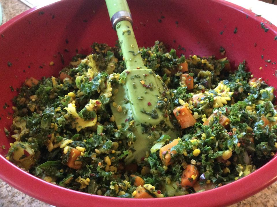 Quick Understanding of Parrot Chop [diy] Prego Dalliance Sanctuary (PDS)