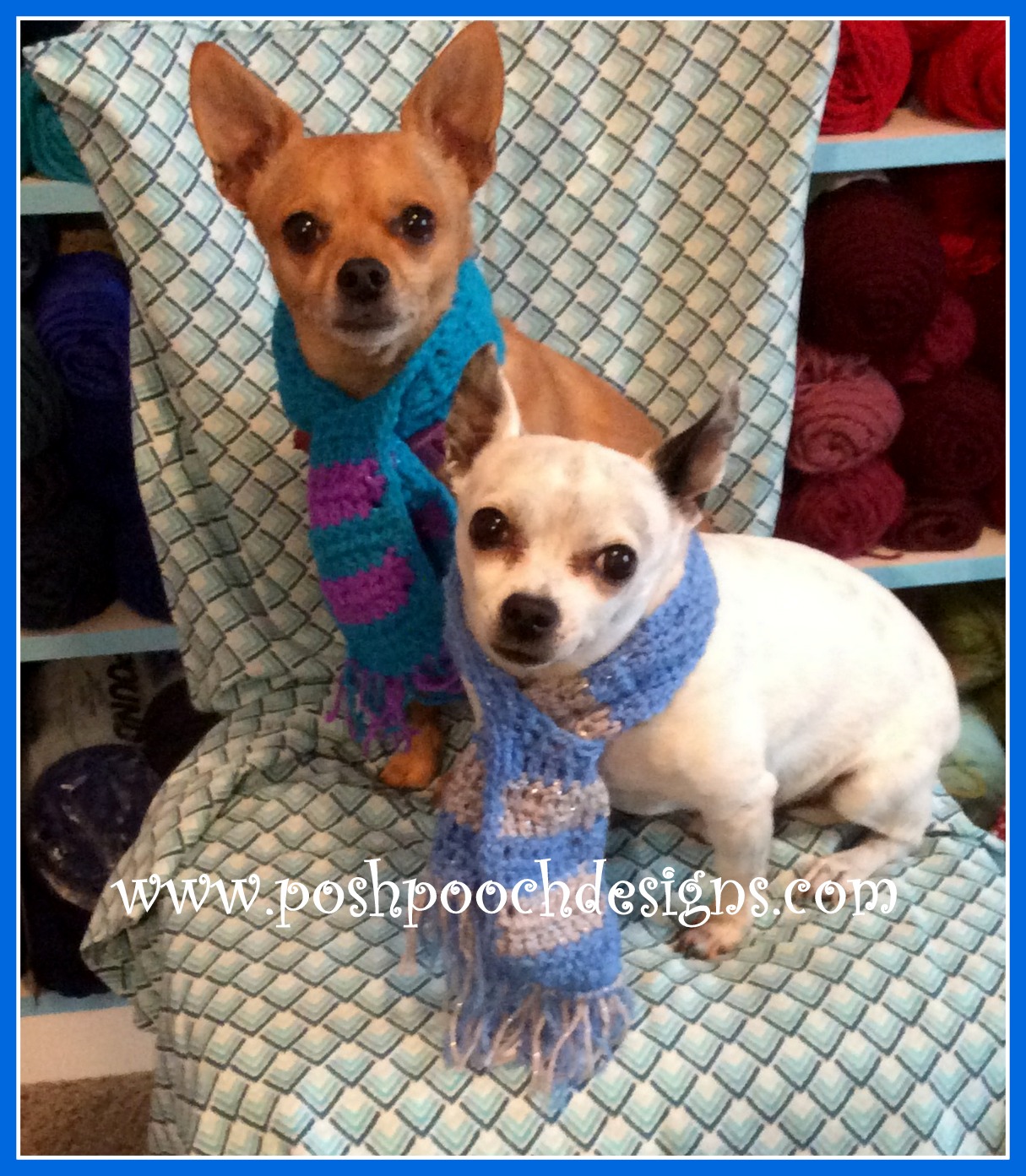 posh-pooch-designs-international-crochet-day-dog-scarf-pattern
