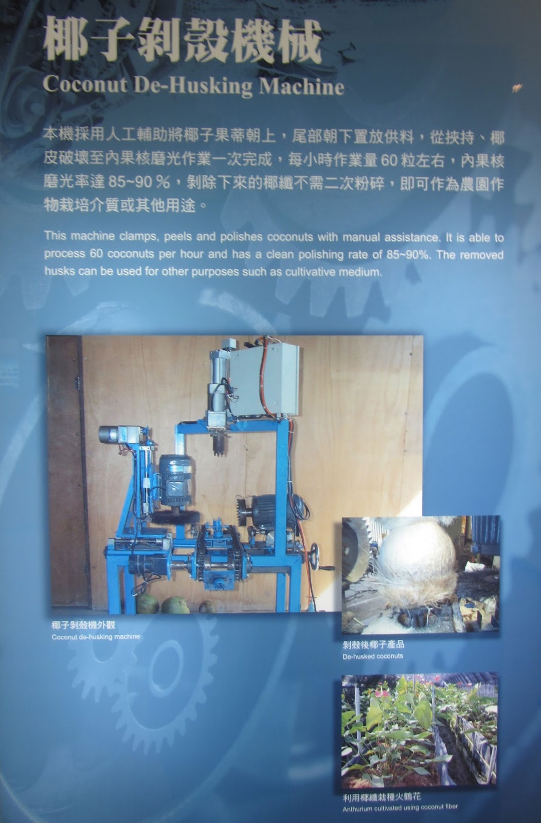 Estudiando Agricultura en Taiwán Descortezadora de coco