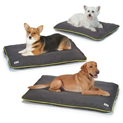 ANGIONE 3M REFLECTING LIFE VEST- PURPLE ANGIONE 3M REFLECTING LIFE VEST- PURPLE