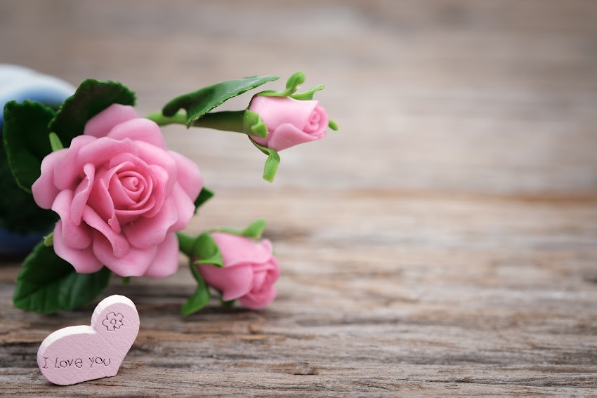 Shallow Focus Photo of Pink Ceramic Roses Shallow Focus Photo of Pink Ceramic Roses
