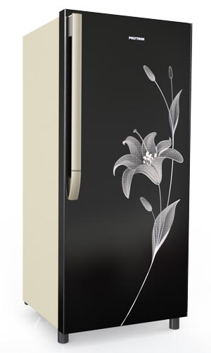Lemari Es Polytron PRO 17 FLX