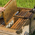 Υλοποίηση δράσεων "Αντικατάσταση κυψελών" και "Οικονομική στήριξη της νομαδικής μελισσοκομίας" για το έτος 2016. 