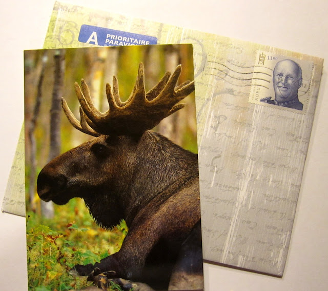 moose card
