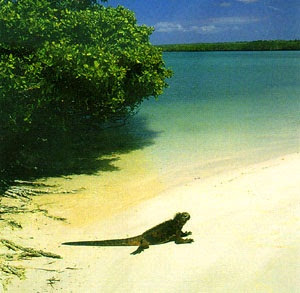 Sitios de mayor interés en las Islas Galápagos 